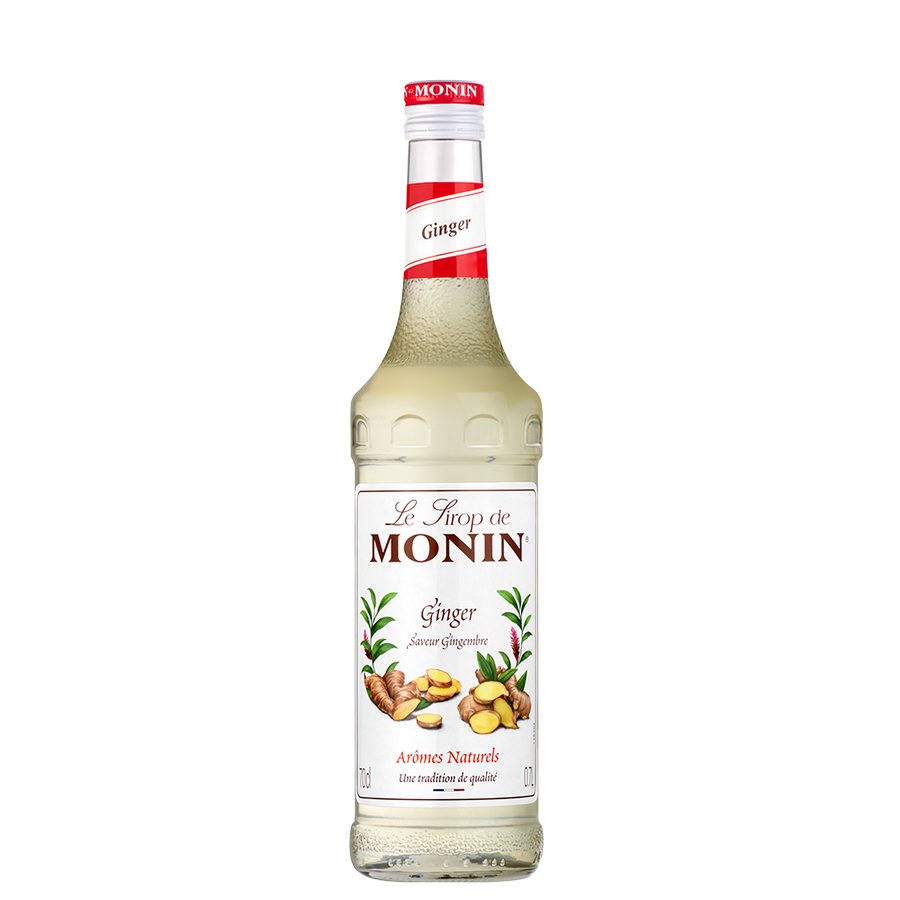 MONIN Syrup Ginger/ τζιντζερ