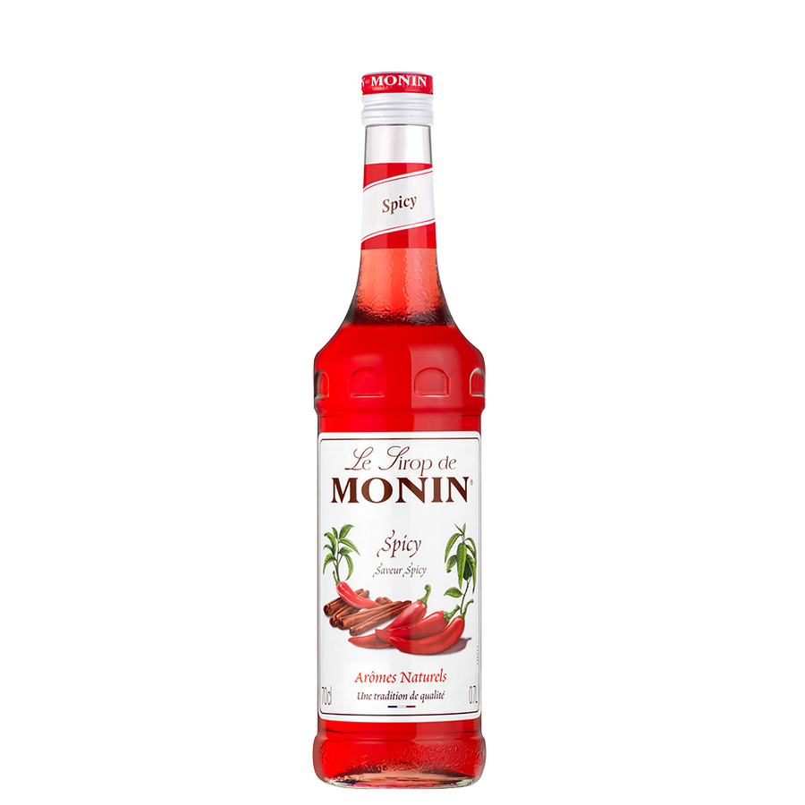 MONIN Syrup Spicy/ Πικαντικο